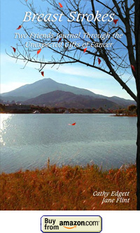 Breast Strokes Breast Strokes